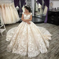 Off Shoulder Lace Ball Gown Wedding Dresses Scoop Neck Appliqued Court Train Tulle Plus Size Bridal Gowns
