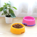 Candy-Colored Eco-Friendly Plastic Pet Bowl Solid Pattern Automatic Dog and Cat Food Utensils with Box Packing