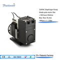 Fluidsmart AD9KEEAC High Performance Long Life 8.8LPM 220V AC Customizable Diaphragm Pump for Automotive Gas Sampling Vacuum MegaBDM