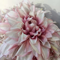 Hot Selling Q-1357 Artificial Wedding Silk 7 Heads White Dahlia Daisy Bouquets Flower