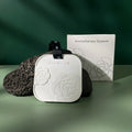 Air Freshener Aroma Diffusers Aromatherapy Hanging Ornament Aroma Stone Diffuser Aromatherapy Essential Oil Diffuser Stone