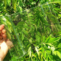 Excellent Impact Resistant Transparent FRP Fiberglass Corrugated Plastic Roofing Sheet for Greenhouse