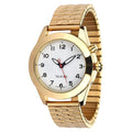 Mens Silver Talking Watch With Clear and Loud Alarm Clock Visually Impaired and Low Vision People