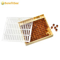 Beekeeping Beekeeper Bee Queen Rearing Box