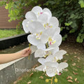 Wholesale Flowers Artificial Decorative Phalaenopsis Latex Real Touch Artificial Orchids Table Decorations