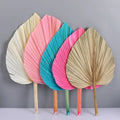 Top Quality Multi-shaped Natural Palm Leaf Palm Sunflower Fan Leaf Home Decoration Palm Sunflower Fan Leaf