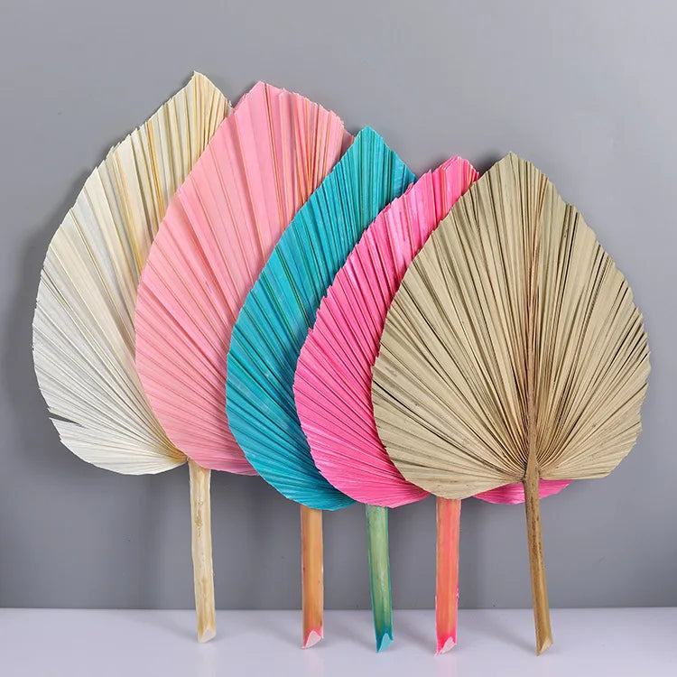 Top Quality Multi-shaped Natural Palm Leaf Palm Sunflower Fan Leaf Home Decoration Palm Sunflower Fan Leaf