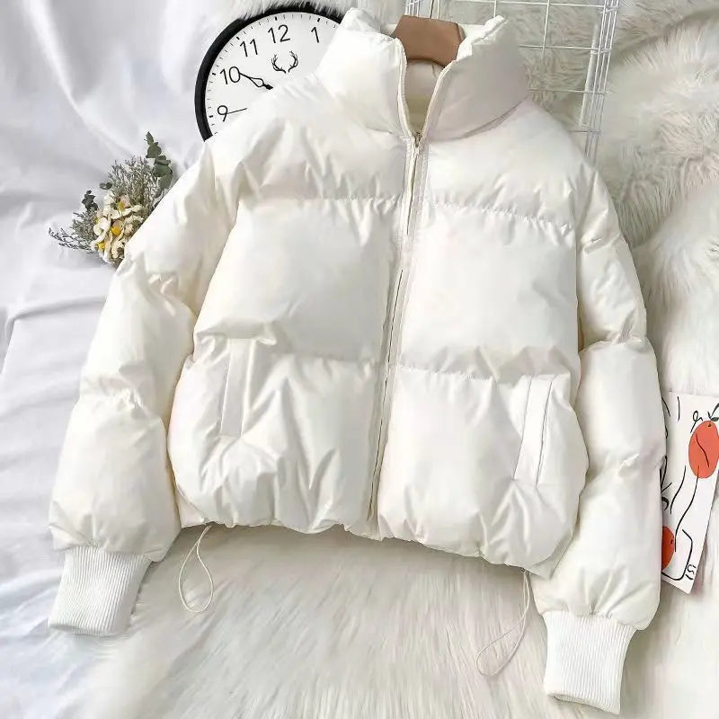 Winter Down Padded New Fashion Puffer Jackets for Women