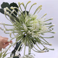 Customization New Design Artificial Silk Flower Leusosper Mum Flower Decorative Silk Flower Silk Thistle