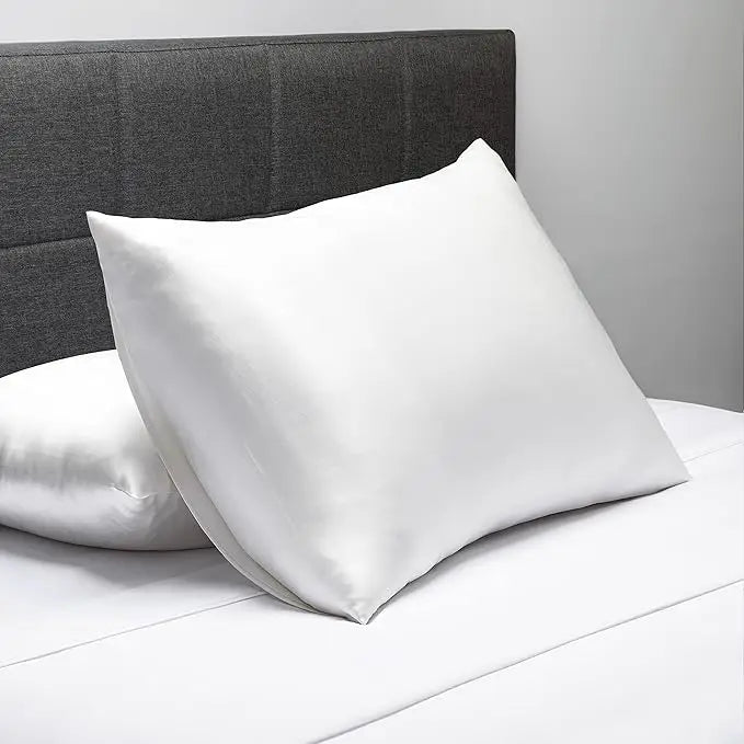 100% Pure Mulberry Silk 16 19 Momme High Grade Fibers Modern Eco-Friendly Hair Pillow Cover Pillowcase