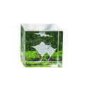 Hot Selling Marine Animal Inner Carving Pattern Crystal K9 square Material the Inner Carving Pattern Can Be Customized .