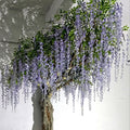 Custom Big Purple Tree Artificial Cherry Blossom Large Outdoor Cherry Blossom Trees for Indoor Outdoor Decoration MegaBDM