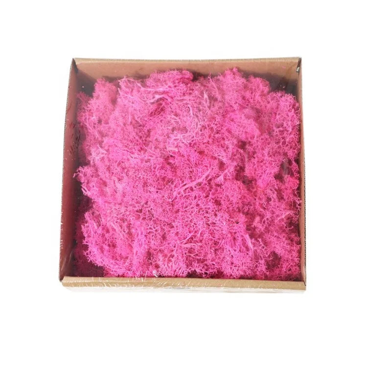 Fast Shipping Preserved Moss Plate Customized Preserved Moss Wall Decorations for Home