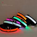Wholesale Glowing Pet Collar Multicolor Nylon Led USB Waterproof Dog Collar