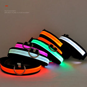 Wholesale Glowing Pet Collar Multicolor Nylon Led USB Waterproof Dog Collar