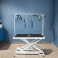Petsproofing Novelty Designed Dog Salon Multifunction Stainless Steel Animal Pet Electric Lifting Dog Cat Grooming Table