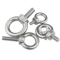 DIN Standard M3-M100 Carbon Steel Eye Bolt with Nut SUS304 316 Stainless Steel Plain Finish for Building Applications