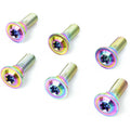 M8 X20 /25mm  T40 Gr5 Titanium Torx Bolts for Motorcycle