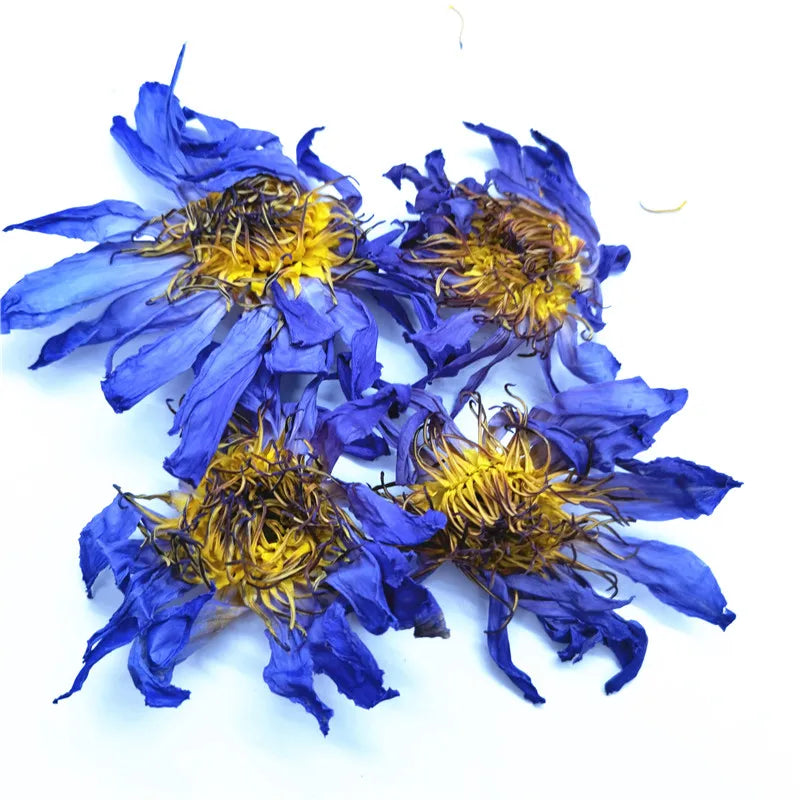 Lan Lian Hua Fresh Dry Egypt Blue Lotus Flower Nymphaea Caerulea Savigny Flavor Tea Available in Box or Cup Packaging