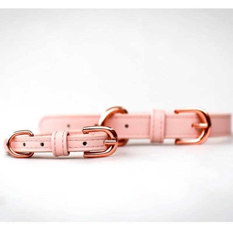 Wholesale Hot-selling Leather Dog Collar and Leash Personalized Dog Training Collar