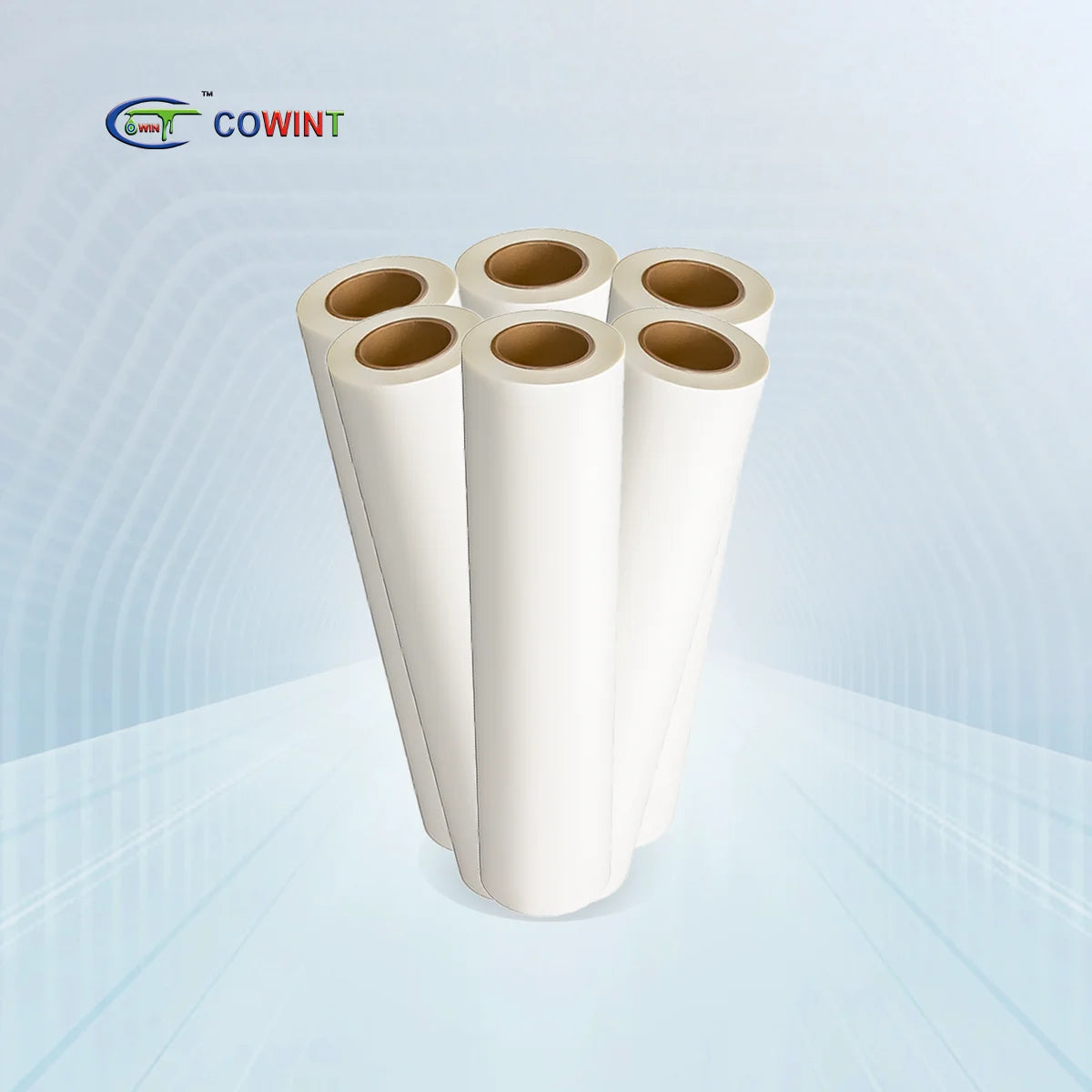 Cowint A3 A4 Sheeet 30cm Etc Dtf Roll Pet Film Printer Printable Digital Printing Heat Transfer Paper Design Pet Dtf Film