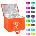 Reusable Thermal Insulated Cooler Bag Non-Woven Grocery and Lunch Carry Cooler Bag for Food Product Category