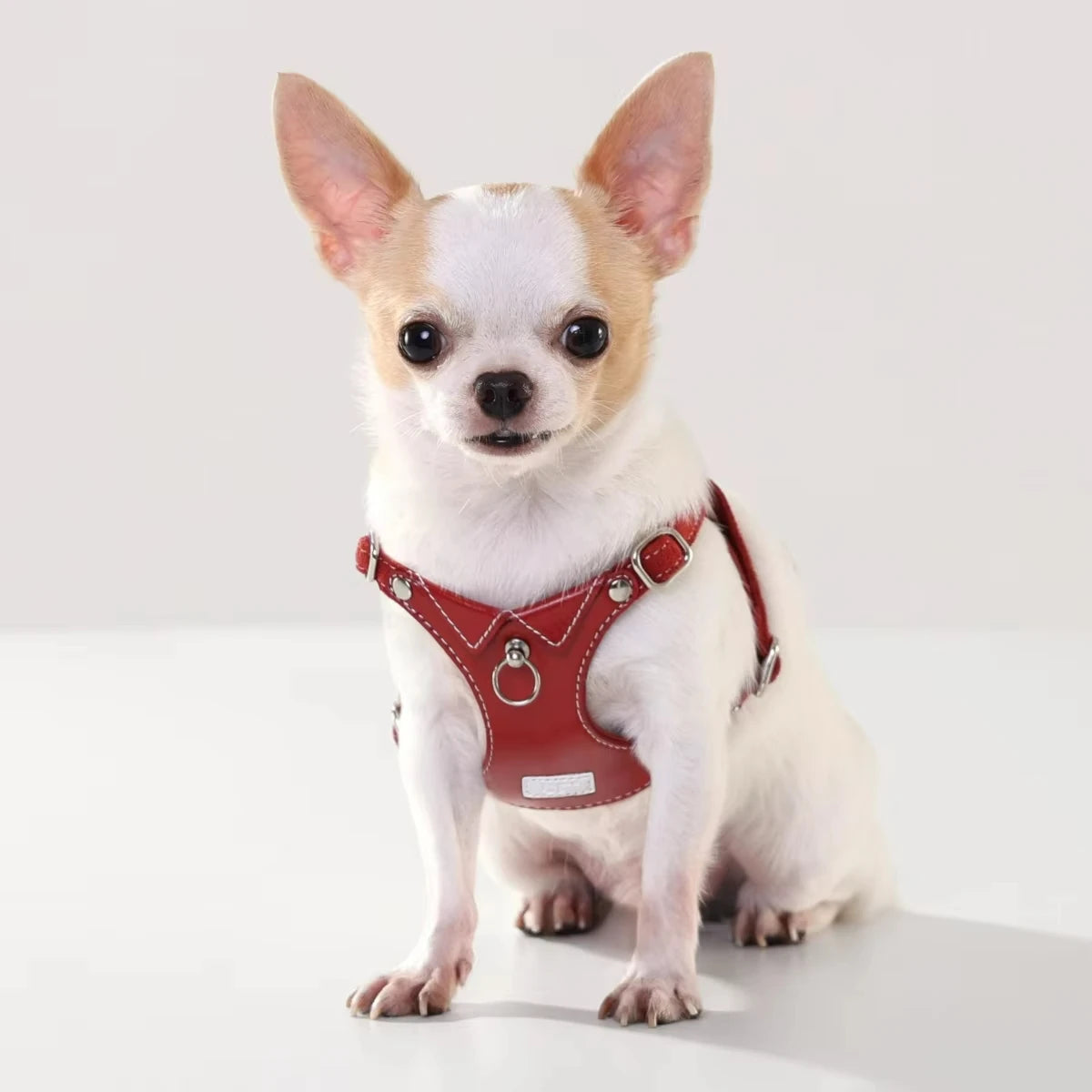 2024 New Luxury Adjustable PU Leather Pet Harness Collar and Leash Set with Durable Hardware for Small Dogs and Cats