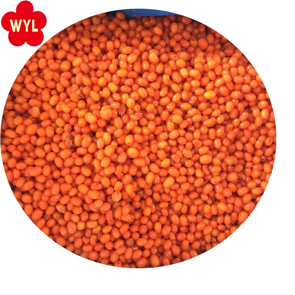 IQF Frozen Sea Buckthorn Fruit All Natural and Refreshing