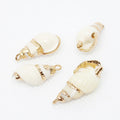 Bulk Wholesale DIY Natural Trumpet Shell Jewelry Pendants Plated 15*20mm 1434323