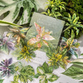 20 Sheets Per Pack Tropical Plant Sticker Pack Hot Plant Collection 6 Collage Base Materials