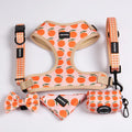 OKEYPETS Luxury Dog Harness Set Personalized Print Reversible Polyester Neoprene Dog Collar Dog Leash Pet Harness Set