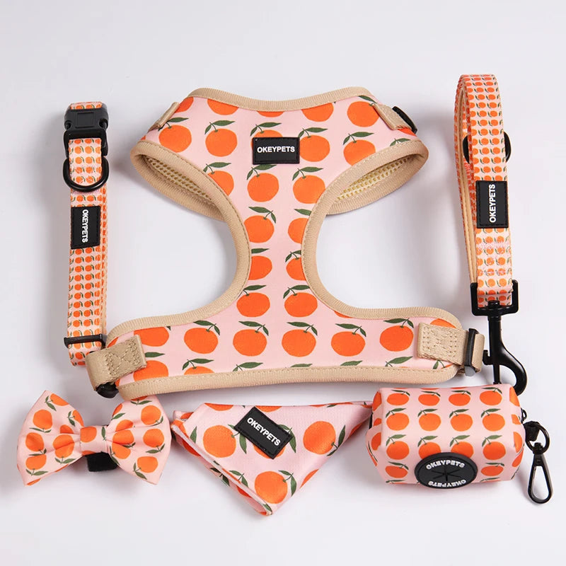 OKEYPETS Luxury Dog Harness Set Personalized Print Reversible Polyester Neoprene Dog Collar Dog Leash Pet Harness Set