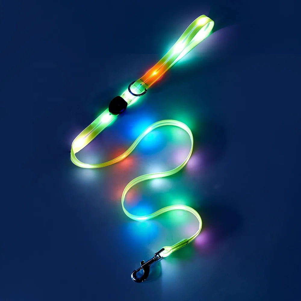Pvc Waterproof Dog Leash Led Dog Collar Light Illuminating Walking Night Glowing USB Rechargeable Led Dog Collar Leash