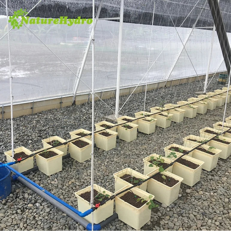 Agriculture Greenhouse Hydroponics Dutch Buckets Drip Irrigation Systems