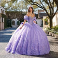 Lavender 2025 Ball Gown Lace Applique Beaded Mexican Sweet 16 Vestidos De 15 Anos Customized Quinceanera Dress MQ622