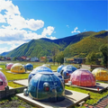 Japanese Design Full House Glamping Polycarbonate Igloo Geodesic Bubble Dome House for Outdoor Parties Hotels Winter for Trade