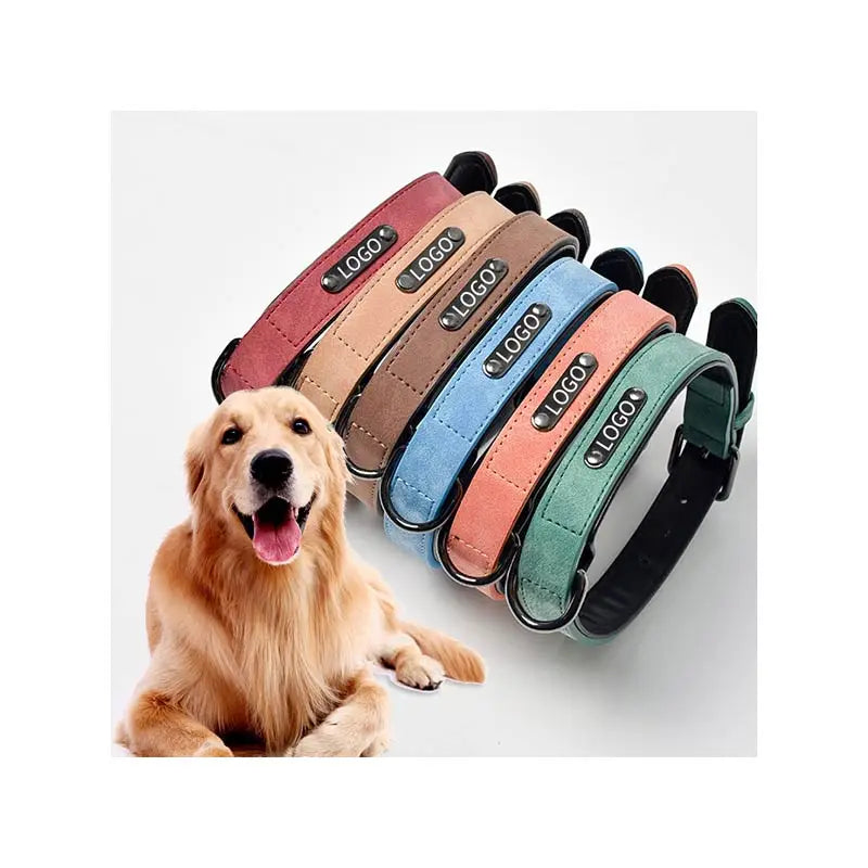 Manufacturer Best Selling Waterproof Leather Solid Microfiber Plain Walking Zinc Alloy Pet Collar for Dogs and Cats