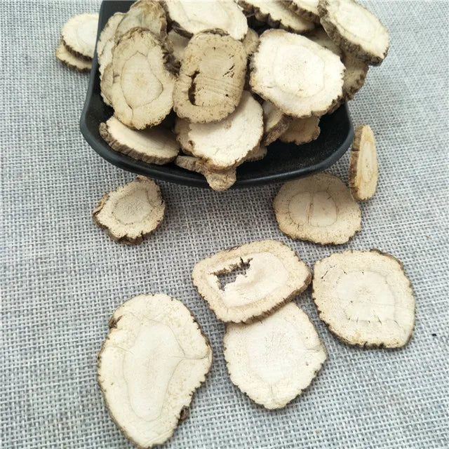 Bai Zhi Bulk Herb Dried Angelica Dahurica Root with Good Price