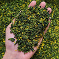 Natural Taiwan Osmanthus Oolong Tea High - Mountain Anxi Tieguanyin Blended Osmanthus Flower Flavor Guihua Oolong Tea Loose Leaf