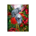 Chenistory DZDP616 Parrot 5D Diy square Round Drill Crystal Diamond Painting Kit Short Lint Cross Stitch with Good Canvas