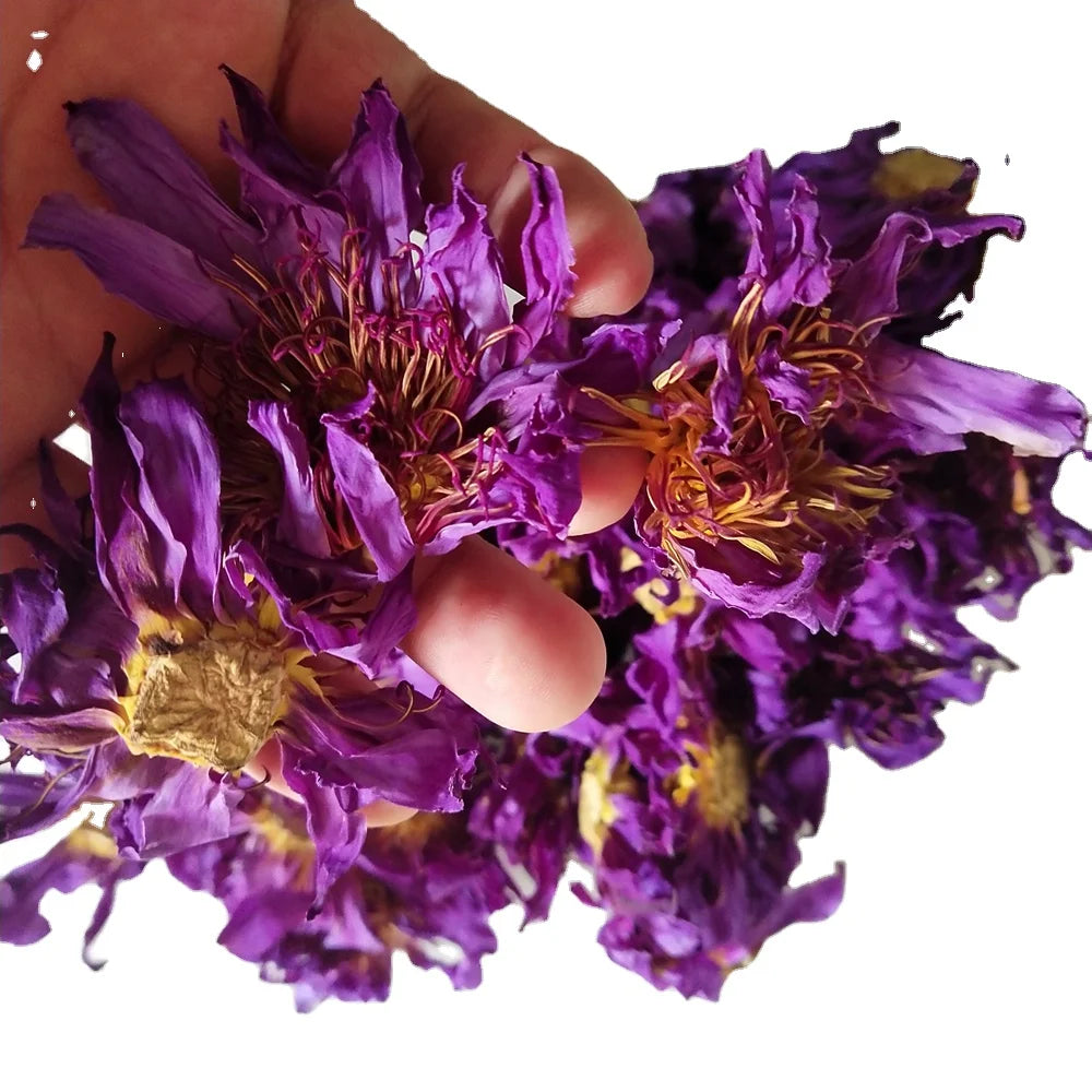 Chemicals Free Natural Egyptian Lotus Flowers Herbal Tea Water Lily Whole Dried Flower for Sale