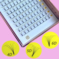 Professional Korean PBT Handmade Eyelash Extensions 3D 4D 5D 6D Premade Heat Bonded Volume Fans Lashes
