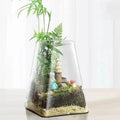 Clear Glass Desktop Display Terrarium Jar Square Home Decor Planter for Hydroponic Plant Growth Dining Room Vase