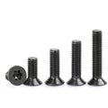 M1.6 M2 M2.5 M3 M4 M5 M6 ISO14581 Black Oxide Stainless Steel 304 Countersunk Head Star Machine Screw Torx Flat Head Screws