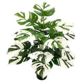 Highly Realistic 75cm 24 Leaves Artificial Grass Plant Plastic Large Artificial Plant