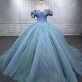 Princess Style Simple Sweetheart Butterfly Evening Formal Quinceanera Dresses for Women Jancember 6572