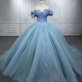 Princess Style Simple Sweetheart Butterfly Evening Formal Quinceanera Dresses for Women Jancember 6572