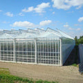 Multi-span Agricultural Glass Greenhouse Frame Green House Agricultural Manufacturers Greenhouse for Tomato