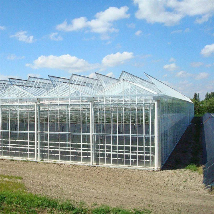 Multi-span Agricultural Glass Greenhouse Frame Green House Agricultural Manufacturers Greenhouse for Tomato