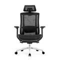 NOEL Factory Price Ergonomic Full Mesh Executive Office Chair for Manager Used